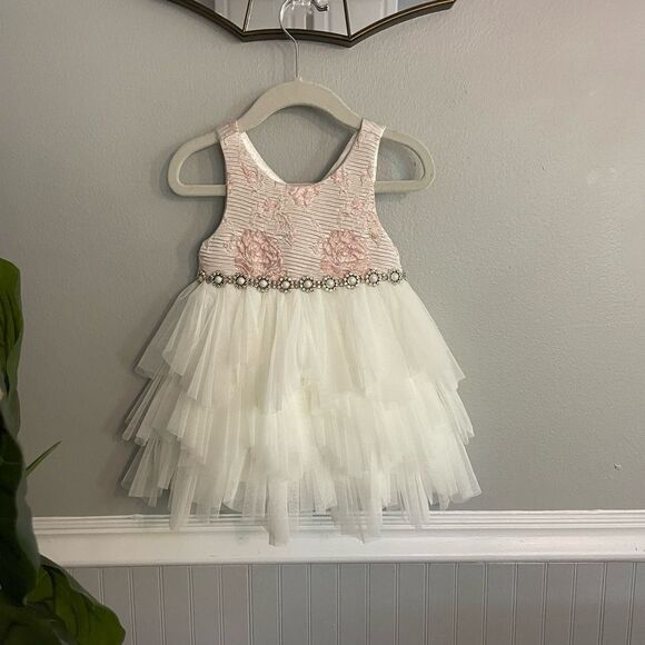 NWT American Princess White Pink Floral Tulle Baby Toddler Dress Size 24 Months - Picture 2 of 9